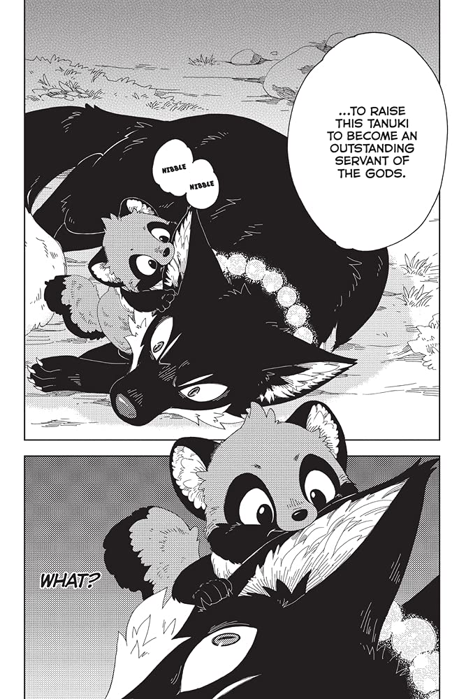 EL ZORRO Y EL PEQUEÑO TANUKI 02 - Image 2
