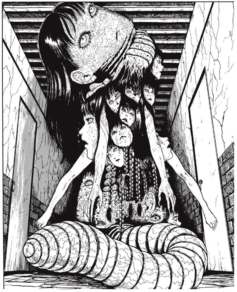 TOMIE NÚM. 3/3 - JUNJI ITO, TERROR DESPEDAZADO VOL. 10 DE 28 - Image 2